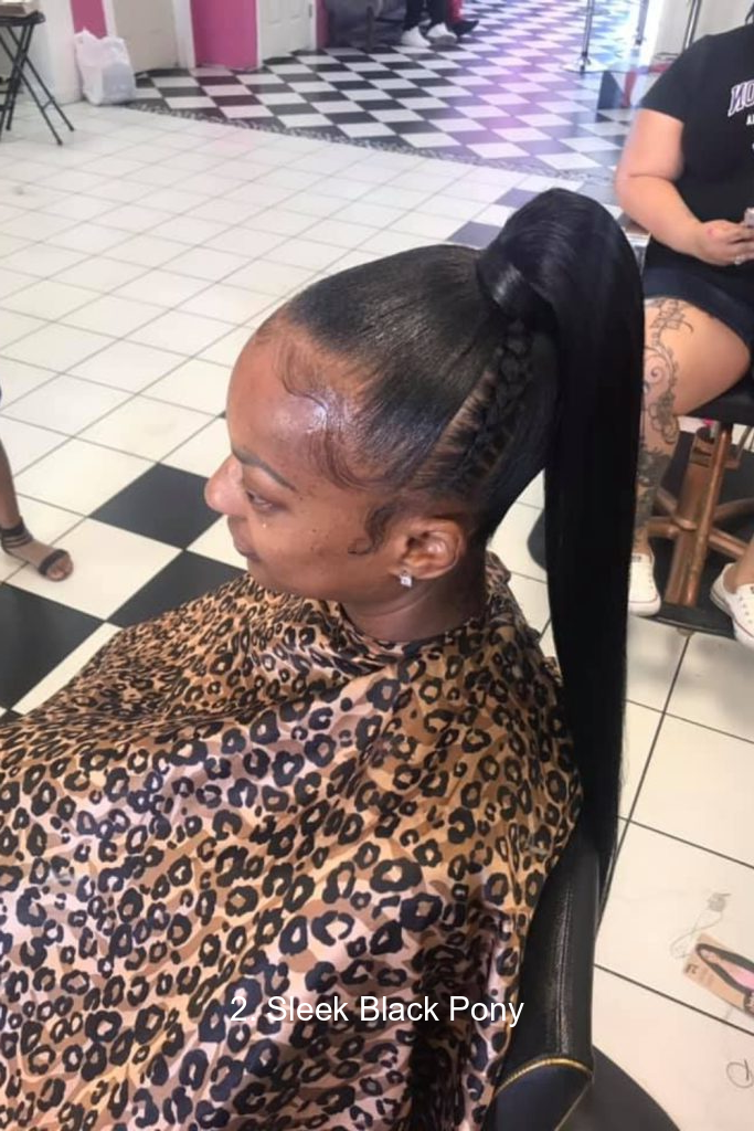 2. Sleek Black Pony